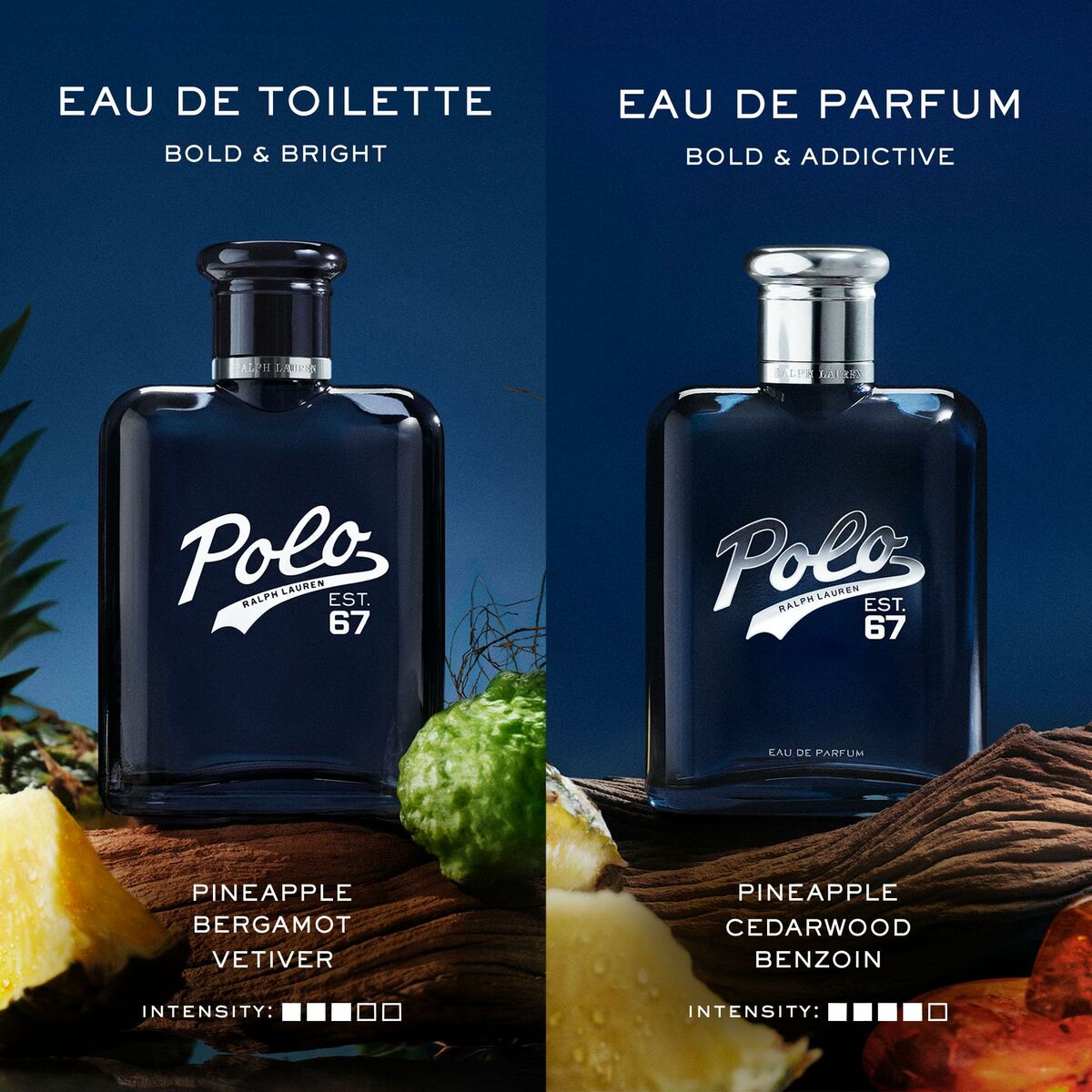Men's Perfume Ralph Lauren POLO - House of Diffusion