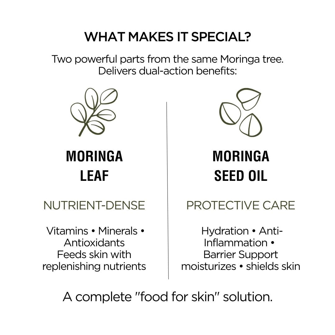Moringa Leaf + Seed Whole - Plant Nutrition Oil – Face & Body Oil for Damage Sensitive, Skin Repair 2oz - House of Diffusion