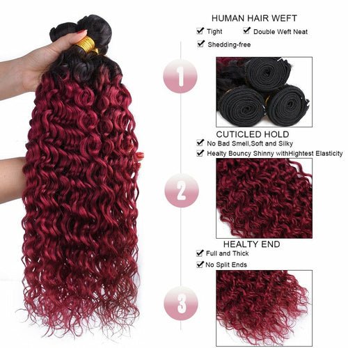 Burg 10A Grade Water Wave 1B/Burgundy BUNDLES with CLOSURES & FRONTAL - House of Diffusion