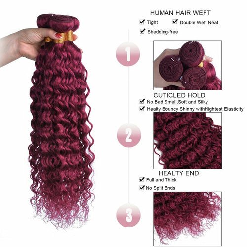 Burg 10A Grade Water Wave 1B/Burgundy BUNDLES with CLOSURES & FRONTAL - House of Diffusion