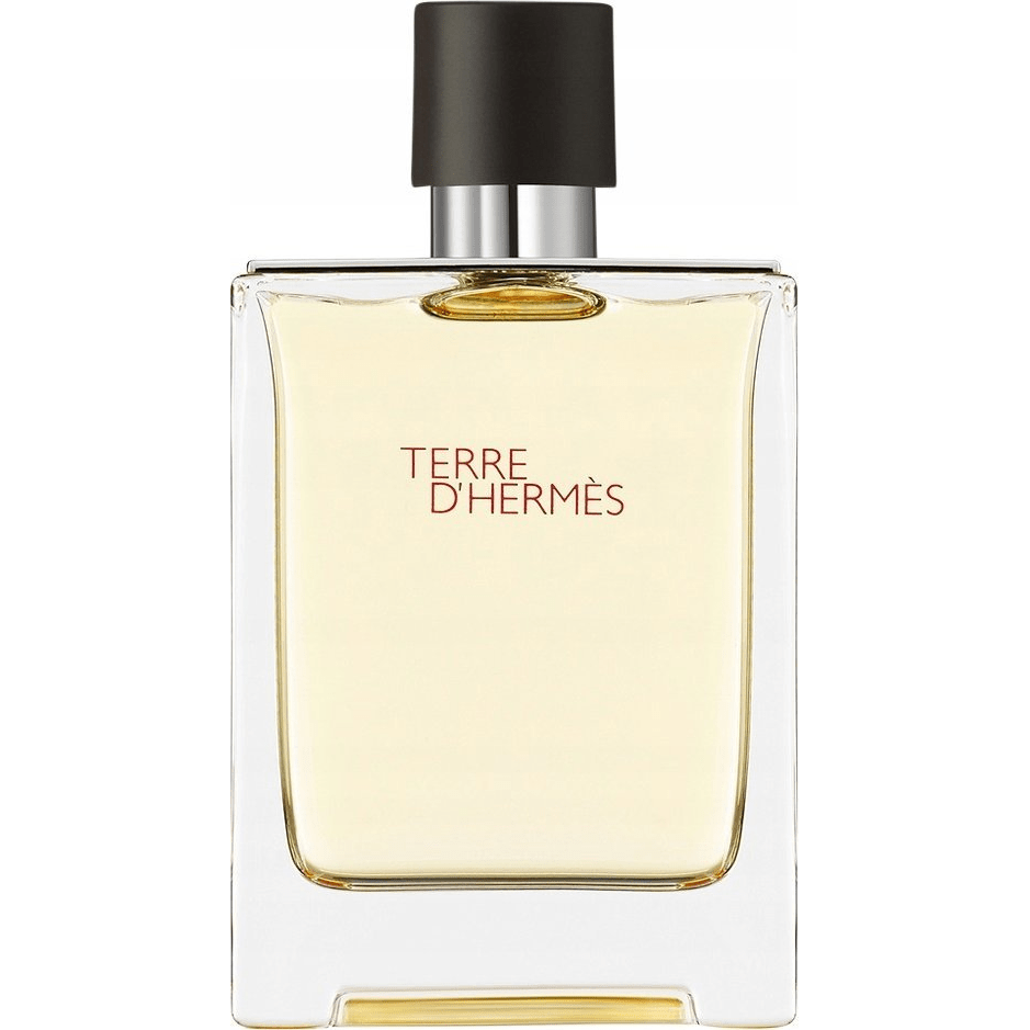 Hermes Terre D'hermes Eau De Toilette Purškiklis 100ml (1990) - House of Diffusion