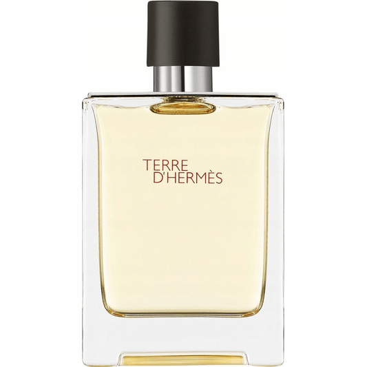 Hermes Terre D'hermes Eau De Toilette Purškiklis 100ml (1990) - House of Diffusion