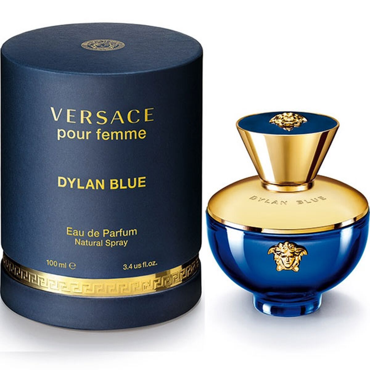 Women's Perfume Versace Dylan Blue EDP 100 ml - House of Diffusion